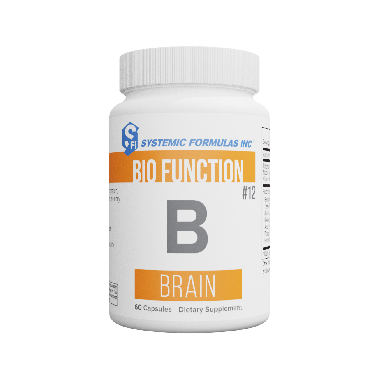 B - Brain