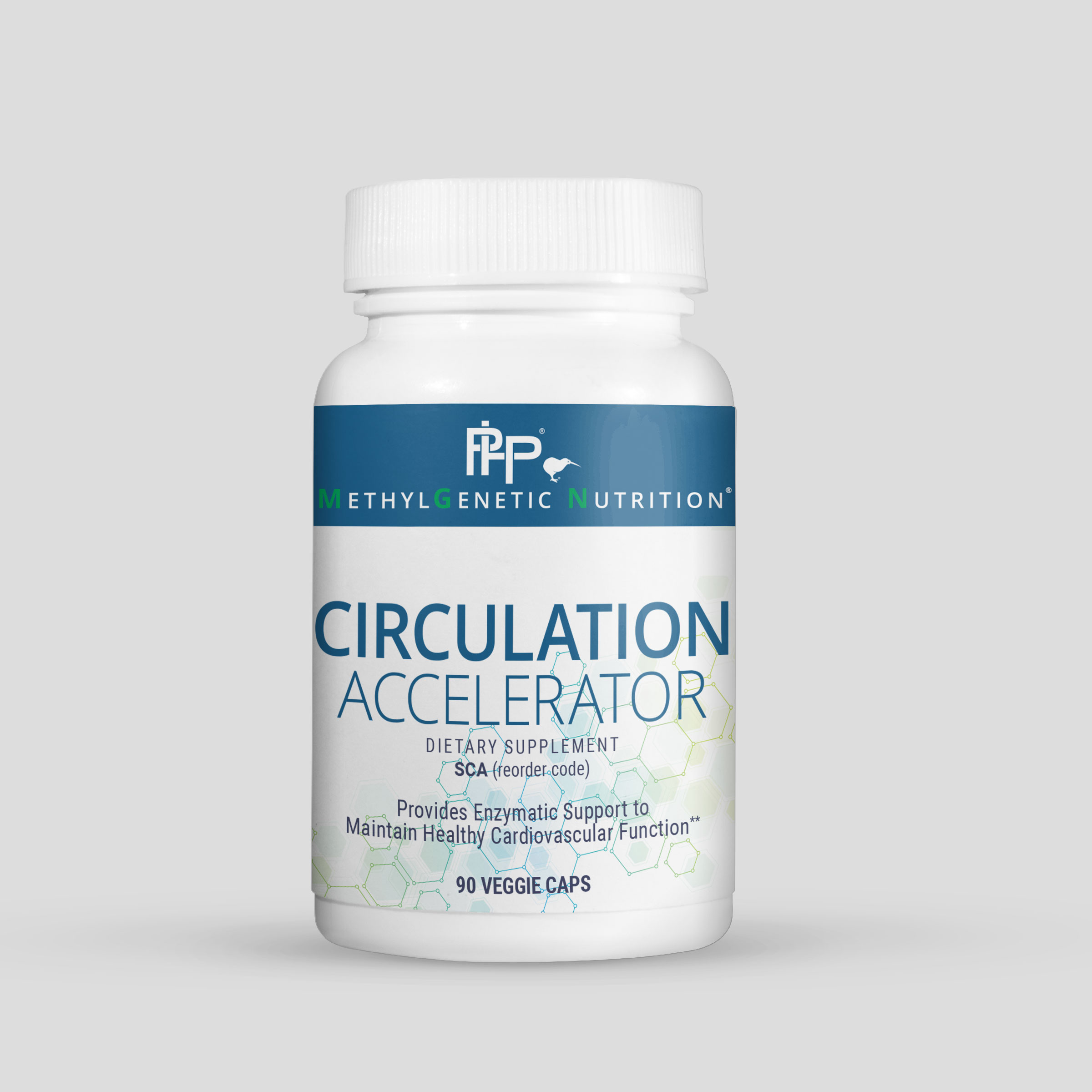 Circulation Accelerator